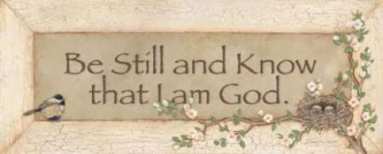 Be Still Poster Print by Stephanie Marrott - Item # VARPDXSM224